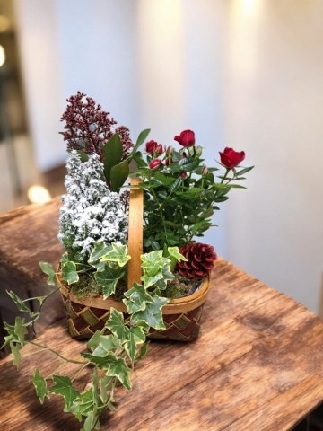 Christmas Planted  Rustic Trug