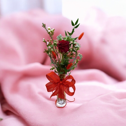 Jacks Favourite – Cupid